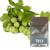 Fermivin 7013 (20g)