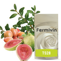 Fermivin TS 28 (500g)