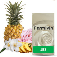 Fermivin JB3 (500g) – kvasinka