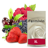 Fermivin XL (500g) – kvasinka