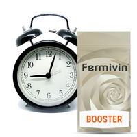 Fermivin Champion Booster (500g)